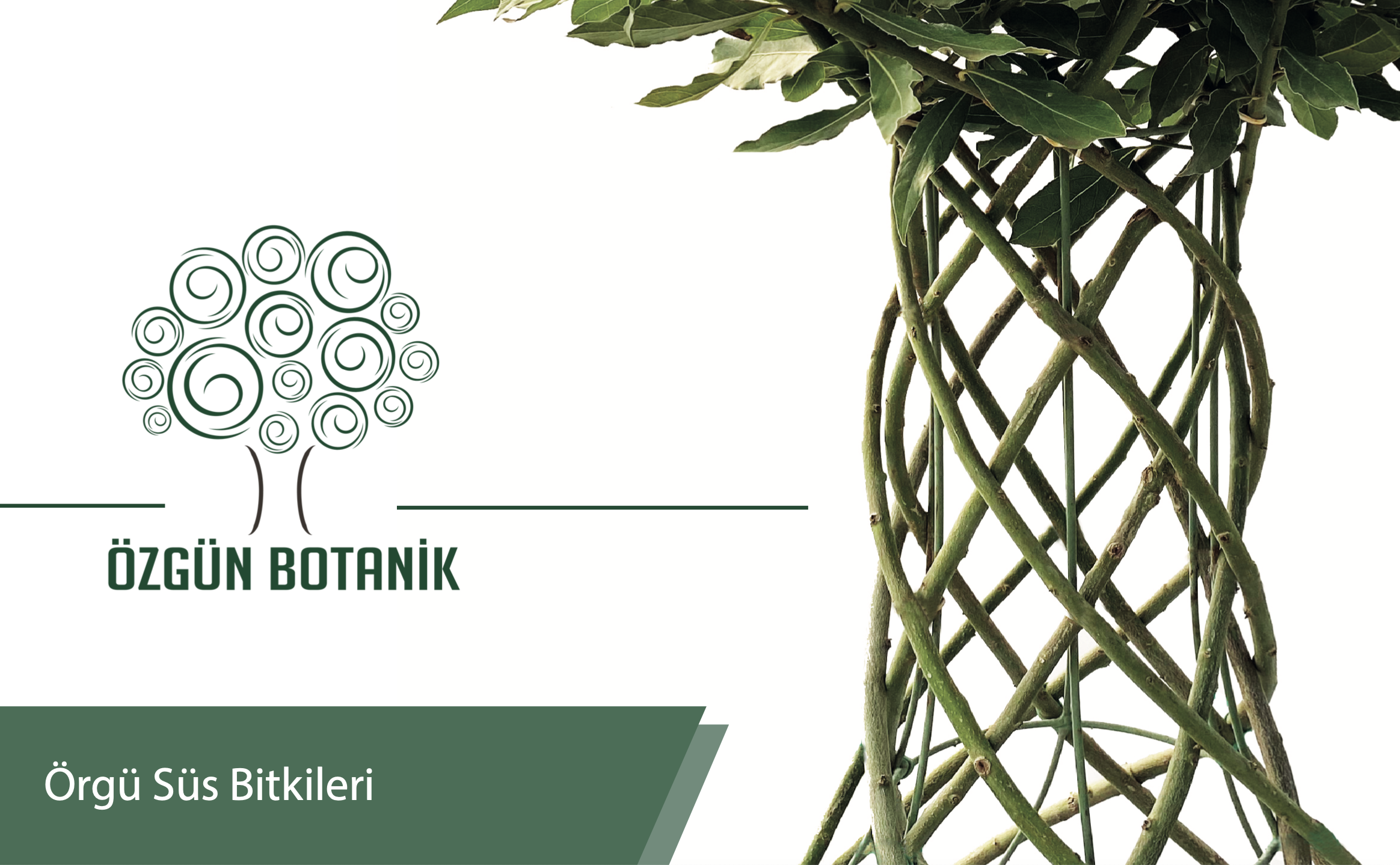 Örgü Süs Bitkileri